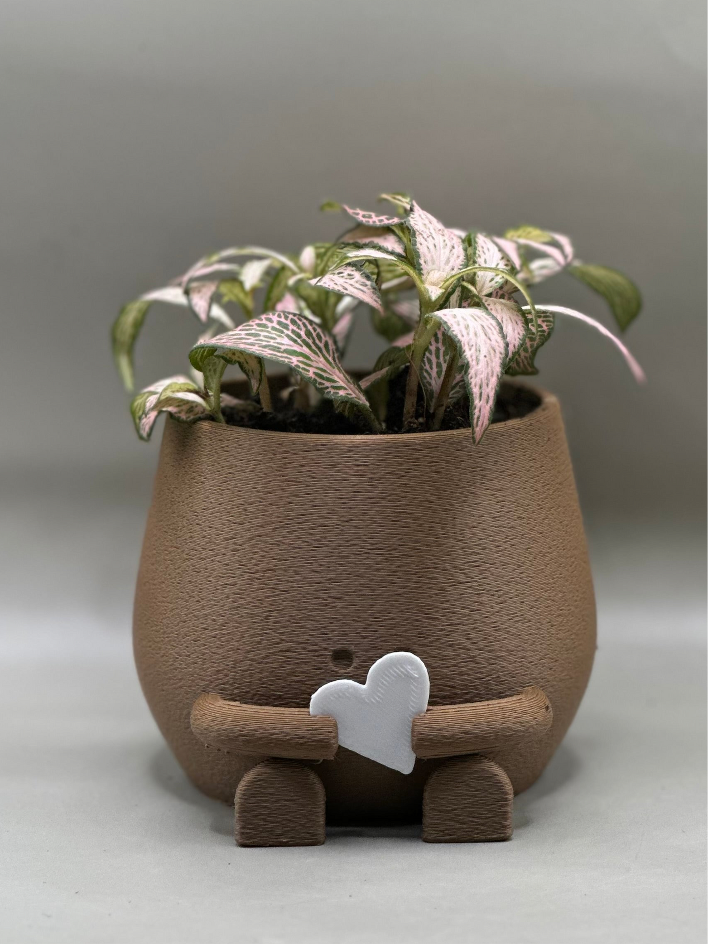 Heart asees