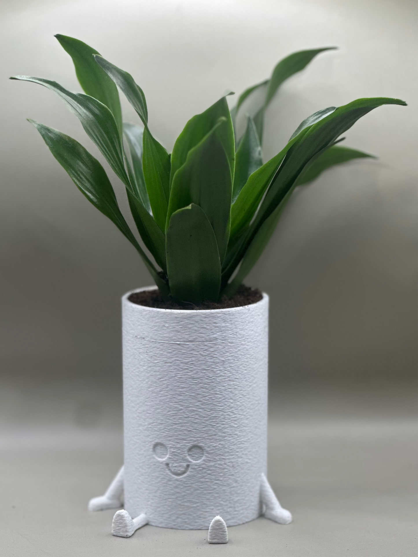 Cylinder asees