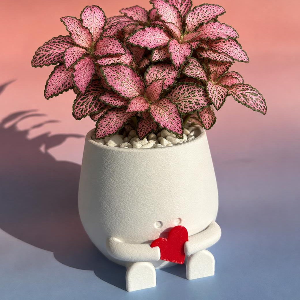 Heart Lover Fattonia Pink